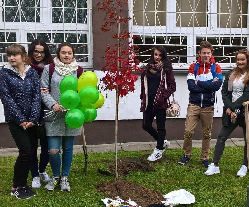 "Budowlanka" w Oświęcimiu uczciła Światowy Dzień Drzewa
