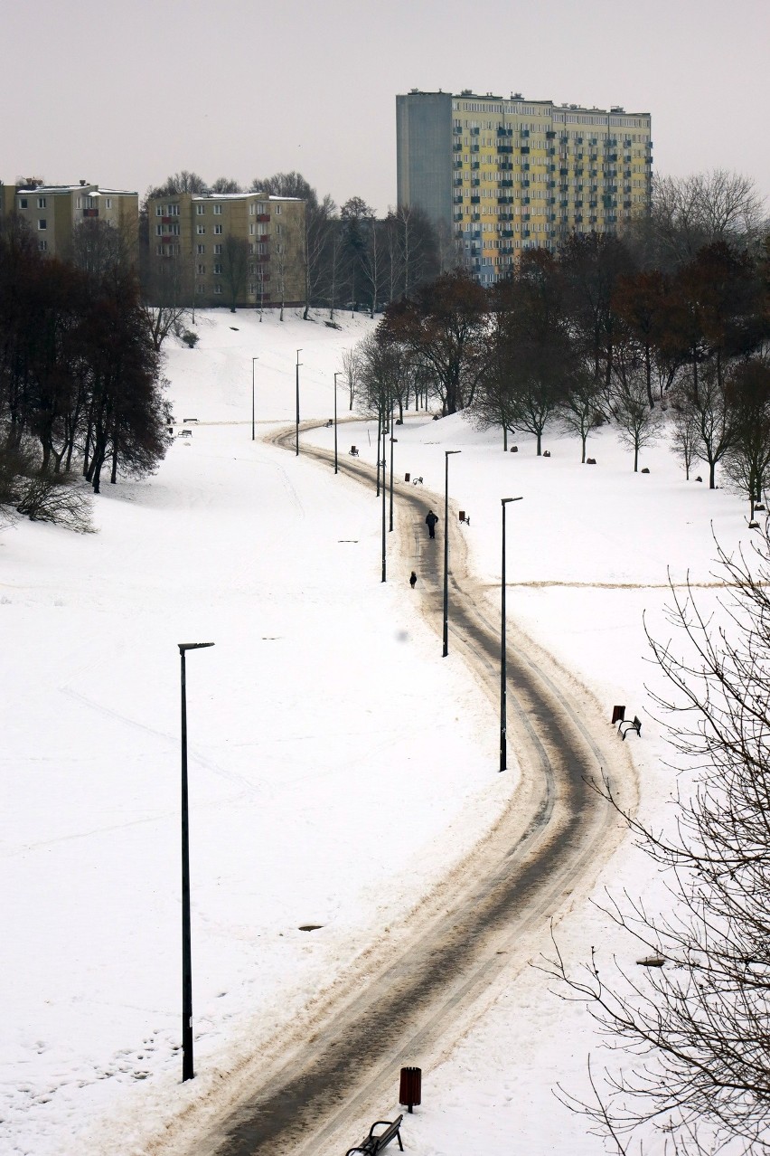  Urbanista upamiętniony, a prezydent miasta oskarżony o hipokryzję