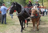 OSP Łany i OSP Chróścin wygrały zawody sikawek konnych w Szemrowicach [zdjęcia, film]
