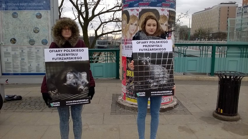 Protest przeciw hodowli zwierząt futerkowych