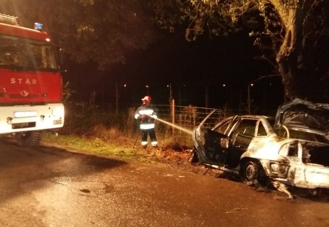 Wypadek w gminie Wojciechowice. Opel uderzył w drzewo i stanął w płomieniach