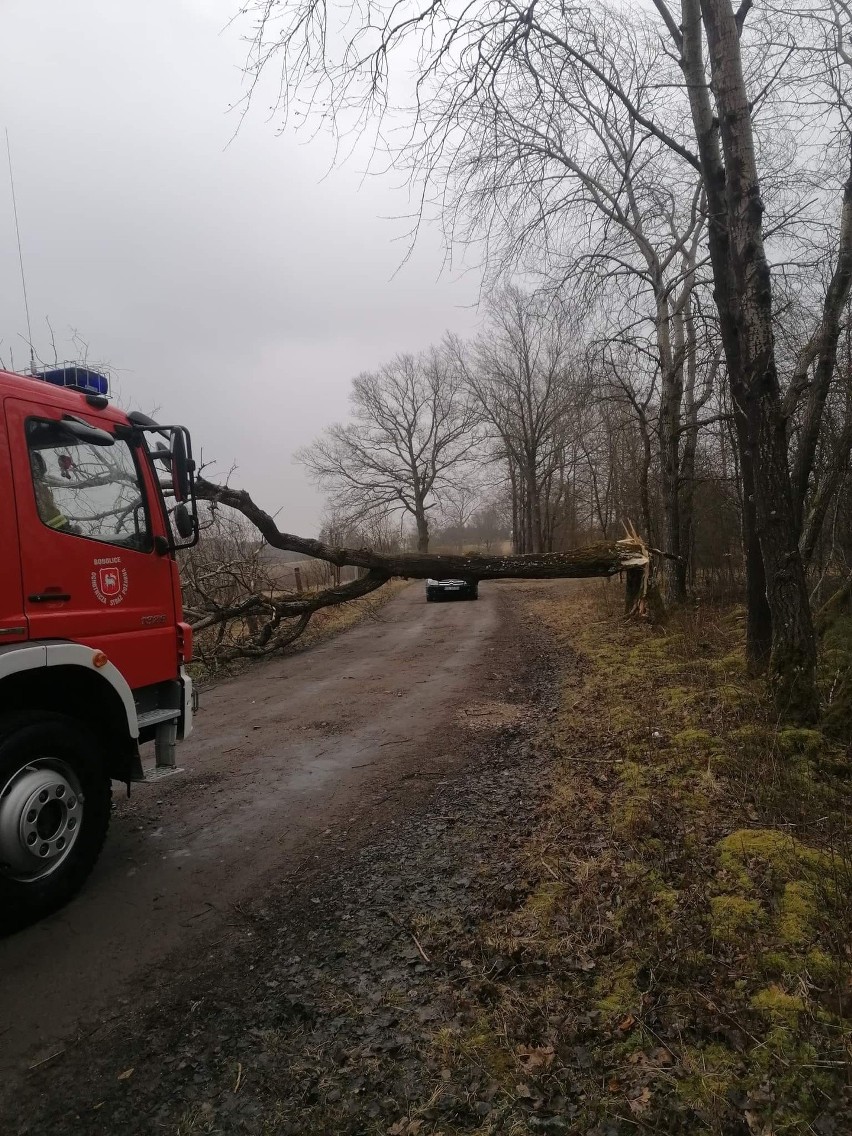 Strażacy z OSP Bobolice zostali wezwani do powalonego drzewa...