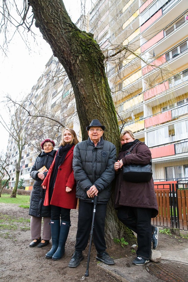 Niedługo to tu będzie tylko beton - mówi Dorota Artysiewicz (pierwsza z prawej). Razem z kilkoma mieszkańcami protestuje przeciwko wycięciu wierzby, która rośnie przy jej bloku. Niestety, część jej sąsiadów jest przekonana, że drzewo jest zagrożeniem.