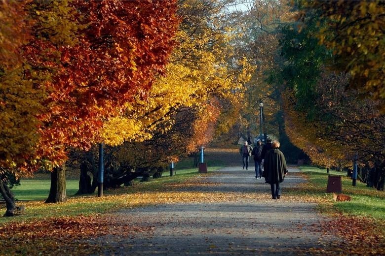 W ten weekend w Łodzi nie będzie się można nudzić