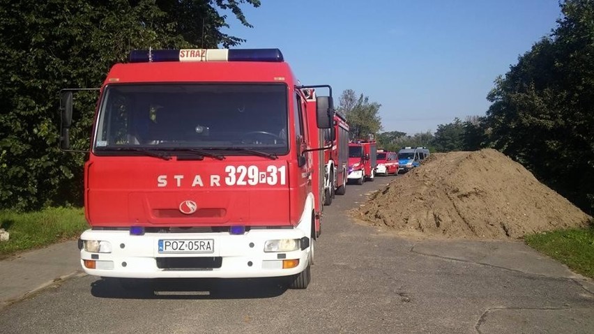 Pociąg relacji Warszawa - Berlin śmiertelnie potrącił...