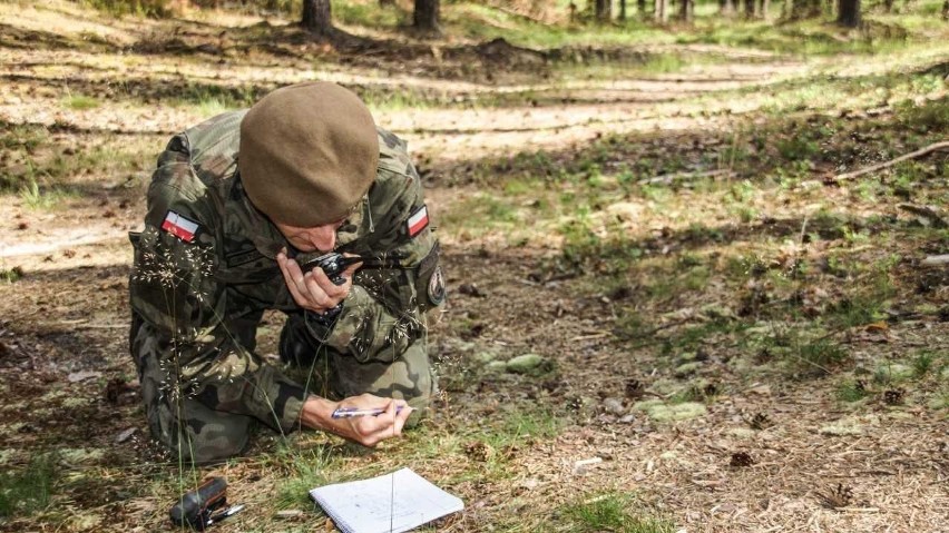 K9 w wojsku. WOT szkoli ludzi do akcji poszukiwawczych z psami