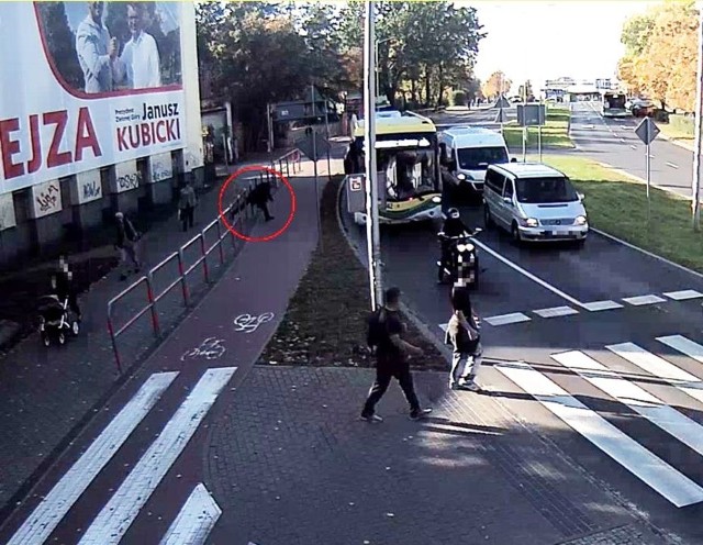 Wandala, który wybił szybę a autobusie MZK, udało się zatrzymać dzięki nagraniom z kamer monitoringu.