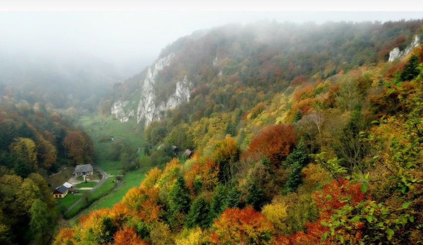 Hity turystyki. Trzy parki narodowe z Małopolski w europejskiej czołówce miejsc najpopularniejszych w Google, Trip Advisor i na Instagramie