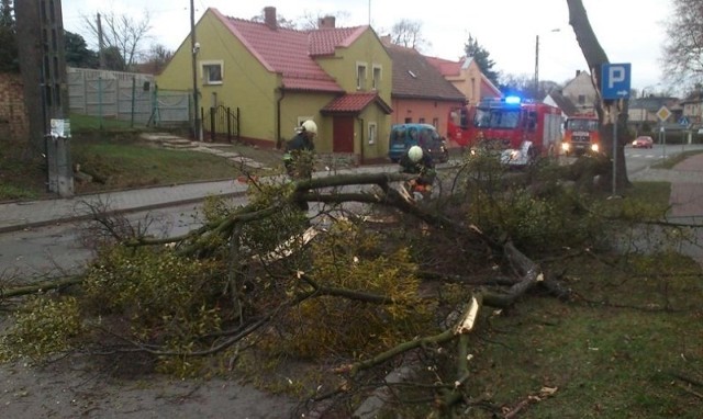 Na ulicy Wałowej w Byczynie spadł konar drzewa zrywając linie energetyczną i telekomunikacyjną