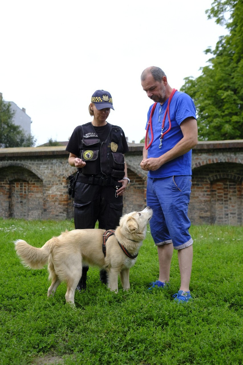 Straż miejska zaprasza właścicieli psów na konsultacje