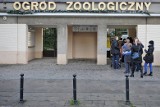 Stare zoo w Poznaniu: 1 kwietnia zniesiono opłaty za wstęp do parku