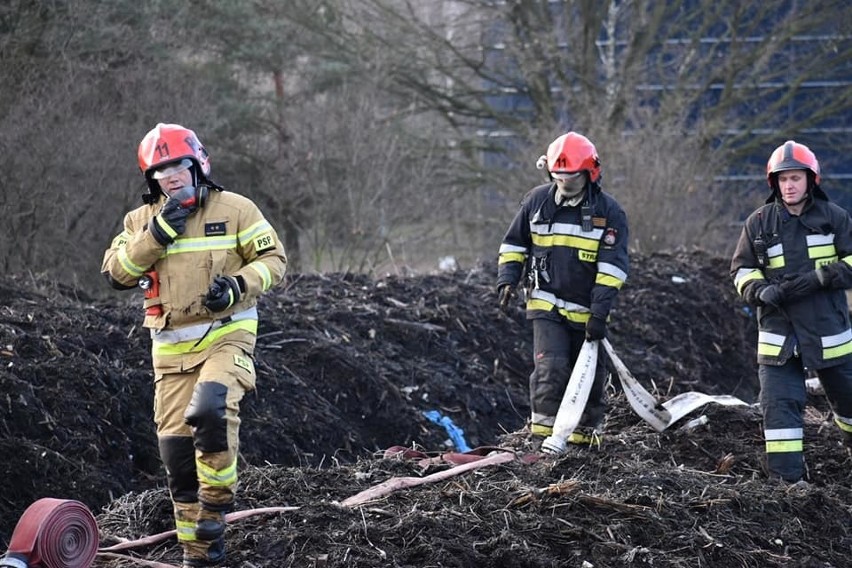 Wielki pożar na terenie oczyszczalni ścieków na Polesiu. W akcji 11 zastępów straży pożarnej ZDJĘCIA