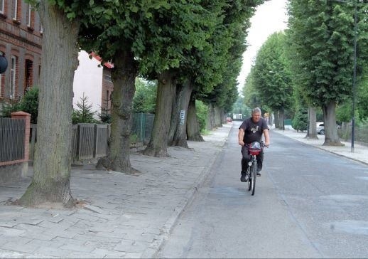 Przy ul. Sobieskiego drzewa rzeczywiście rosną w chodniku. Nie jest to jednak ruchliwa ulica, a chodnik jestna tyle szeroki, że powinno na nim wystarczyć miejsca i dla drzew, i dla przechodniów.