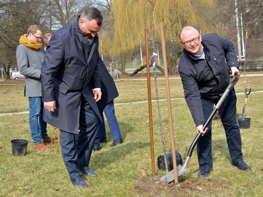 Lubelska Platforma posadziła drzewa. Przeciwko Lex Szyszko