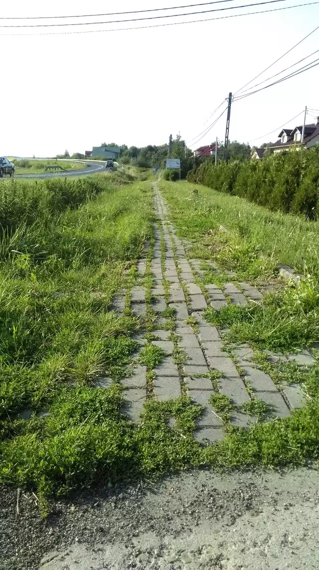 Trawa i nierówności utrudniają mieszkańcom Zaborowa korzystanie z chodnika. Zostanie on jednak uporządkowany