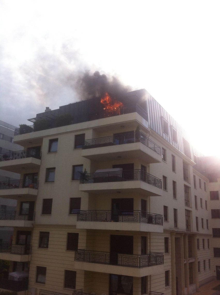 Pożar na Osiedlu Paryskim przy ul. Pestalozziego w Bydgoszczy