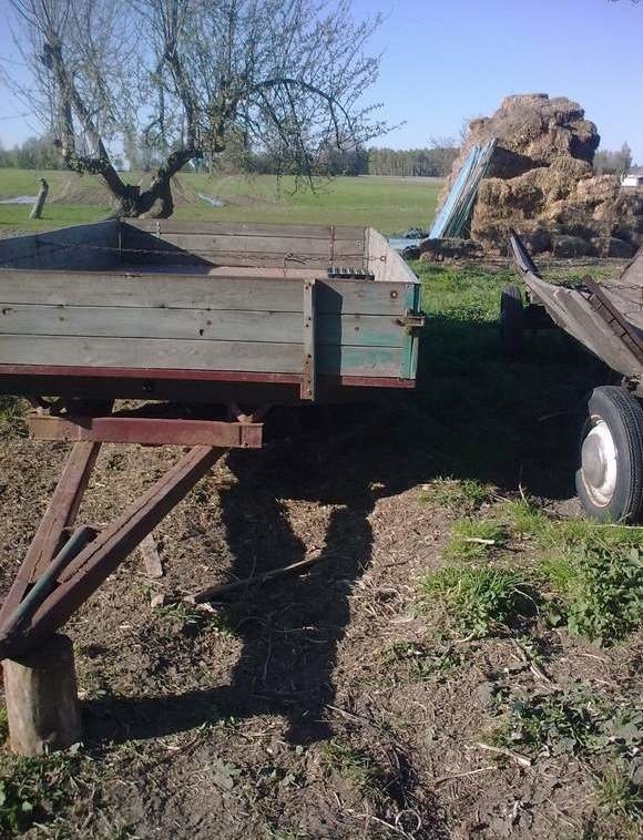 Wstrząsająca śmierć. Siedmiolatka zastrzeliła swoją młodszą siostrę (zdjęcia) 