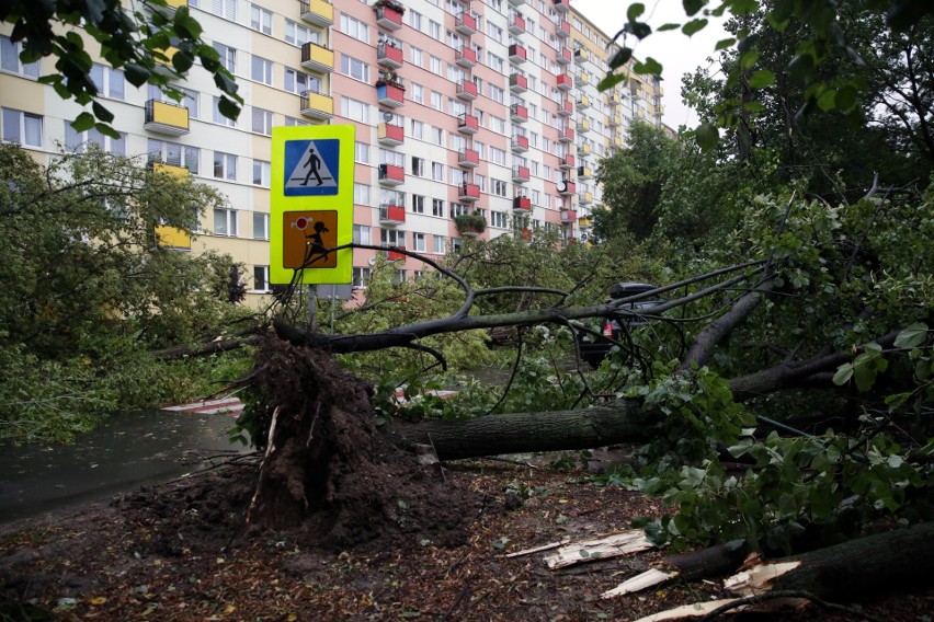 Pogodowy armagedon w Lublinie i okolicach. Strażacy cały czas pracują, aby drogi były przejezdne. Zobacz