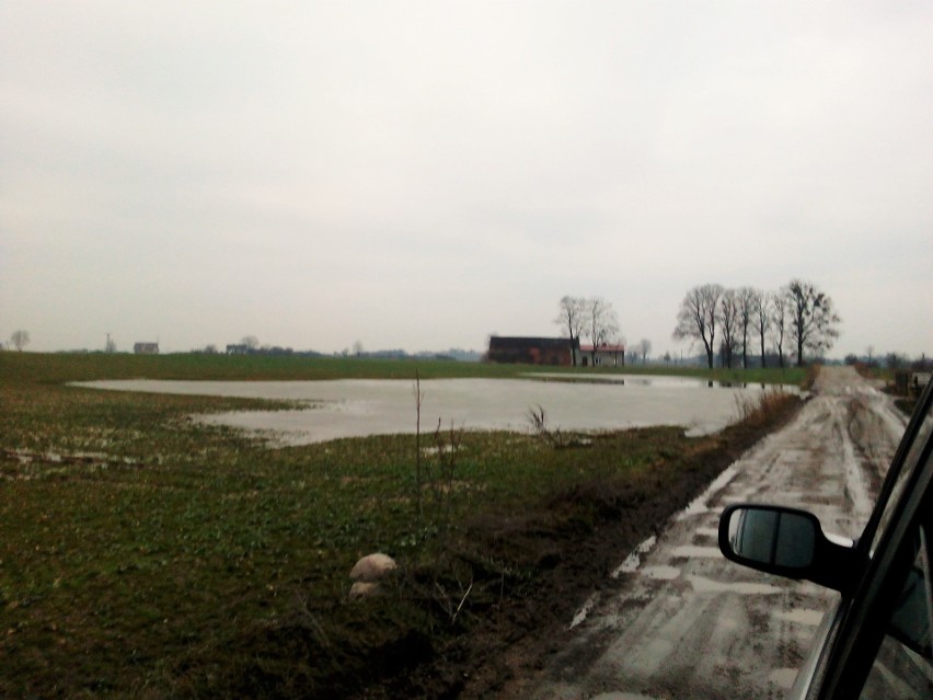 Gospodarstwa w gminie Sośno toną, potrzebna jest pomoc     