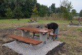 Sulechów. Park Sulecha się zmienia. Pojawiły się nowe leżaczki i ławostoły. Wkrótce powstanie też pumptrack