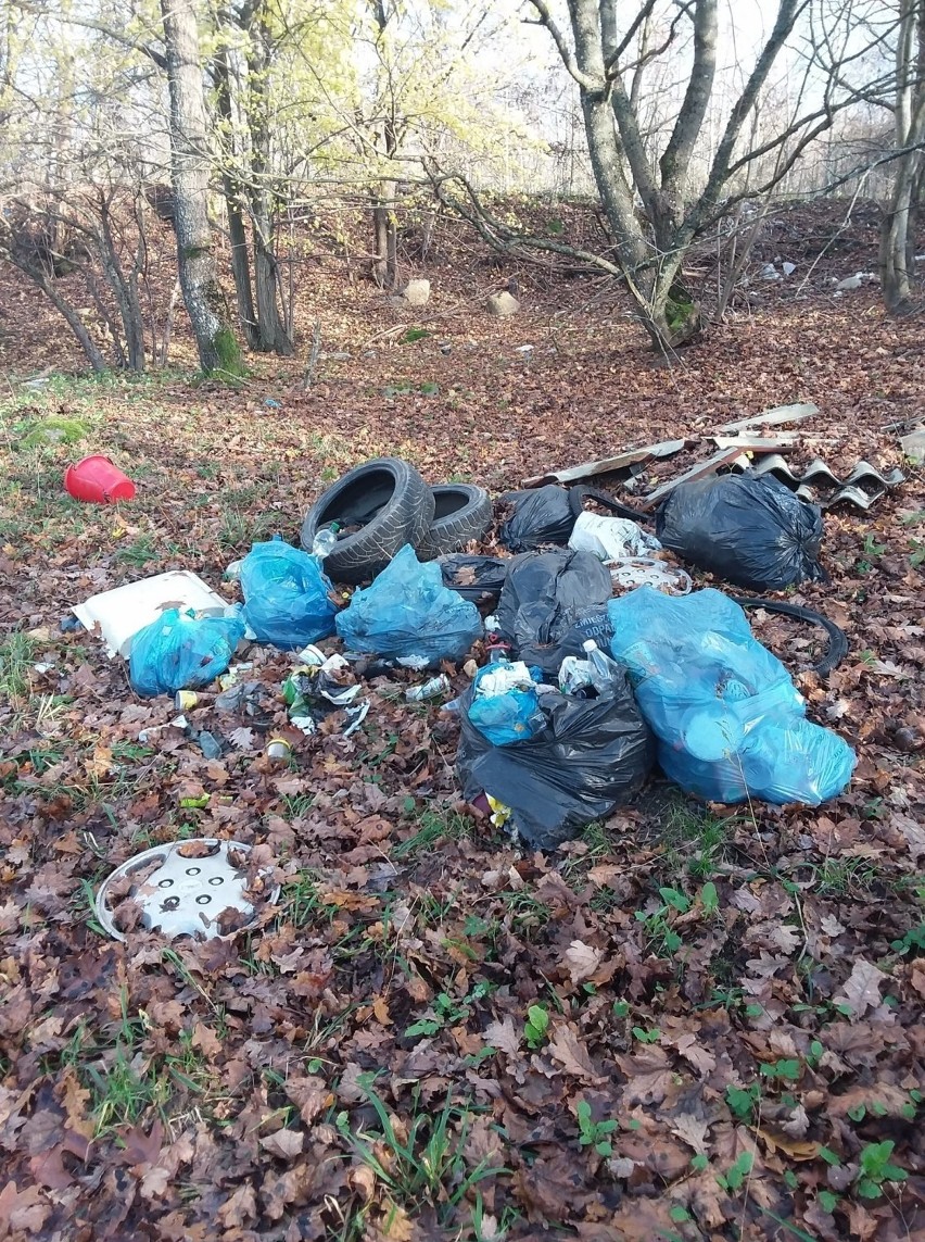 Straż Leśna Nadleśnictwa Choczewo ukarała trzy osoby wyrzucające śmieci w lesie. Zdjęcia