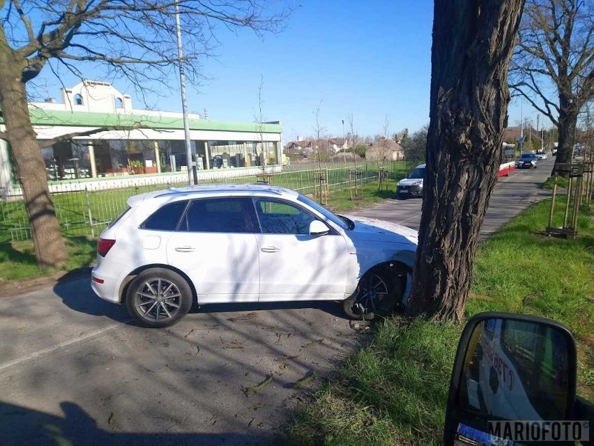 Wypadek w Opolu na Morcinka. Kierująca audi zjechała na pobocze i uderzyła w drzewo 