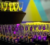 Nagrody oraz wyróżnienia dla sportowców z Mysłowic. 12 grudnia władze miasta uhonorują mysłowiczan za wybitne osiągnięcia sportowe 