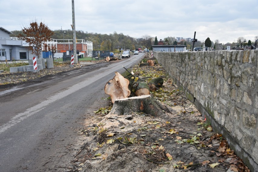 Wycięte drzewa przy cmentarzu na ul. Zuzanny w Sosnowcu. Jak...