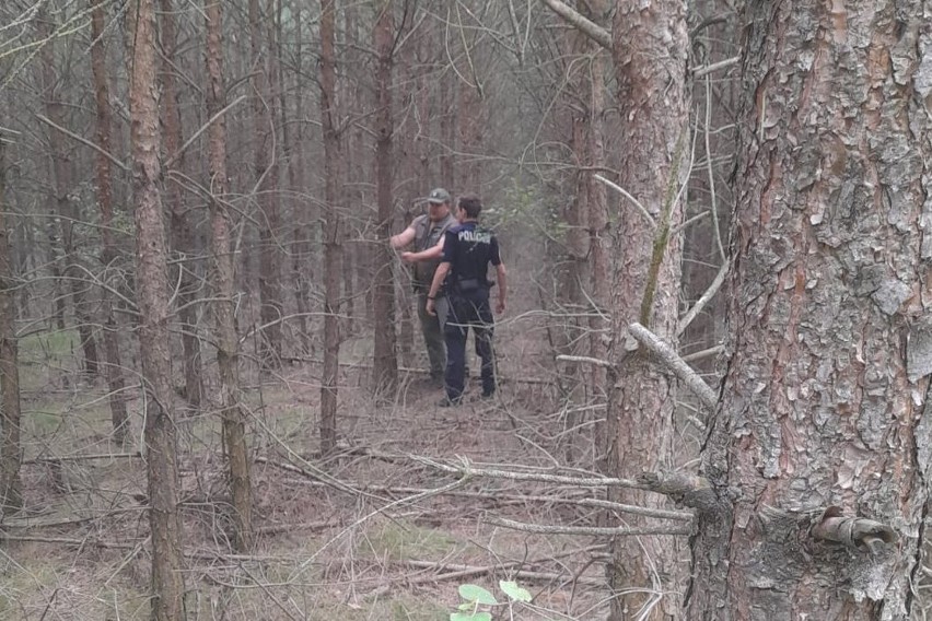 Wspólne patrole leśników i policjantów pod Solcem Kujawskim - by nikt nie kradł drzewa z lasu
