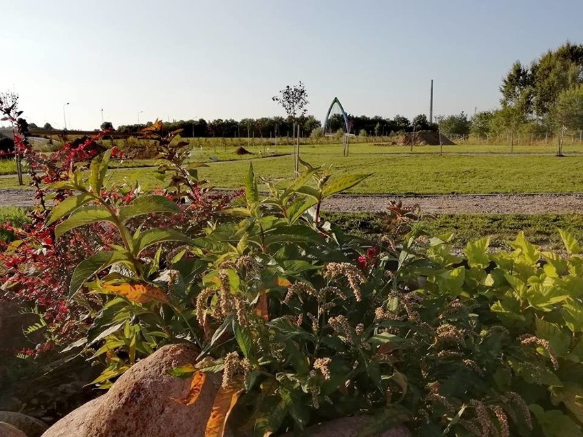 Cmentarz dla zwierząt w Szczecinie: Rusza Tęczowa Kraina [zdjęcia, cennik]