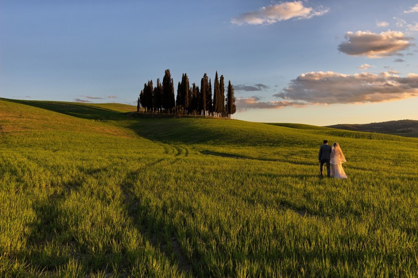 Piękny widok na zielone pola w Toskanii