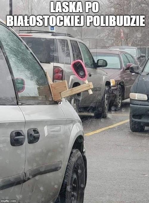 Nowe memy o Podlasiu i Podlasianach. Oto Najśmieszniejsze...