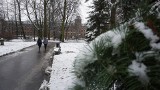 Zima wróciła do Łodzi. Pogoda na weekend 10-11 lutego 2024 Jakie są przewidywania pogody na najbliższe dni? 9.02.2024
