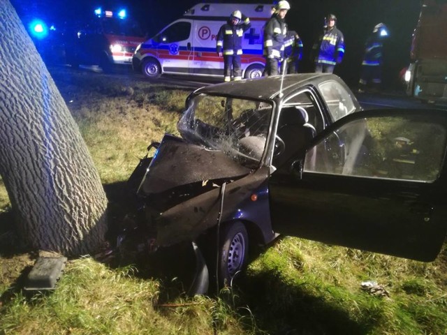 Wypadek w Poninie na DK5. Nissan uderzył w drzewo. Dwóch 21-latków trafiło do szpitala