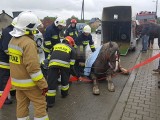 Koń przewrócił się na drodze wojewódzkiej w gminie Skała. Zwierzę było przewożone w przyczepie