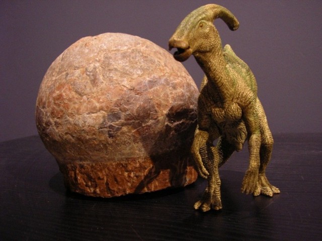 Rekonstrukcja parazaurolofa - kredowego dinozaura kaczodziobego, w tle skamieniałe jajo dinozaura kaczodziobego.
