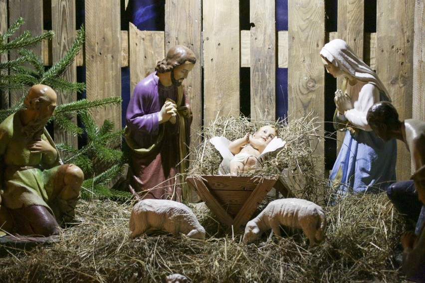 Szopki bożonarodzeniowe w słupskich kościołach. Zobacz zdjęcia 