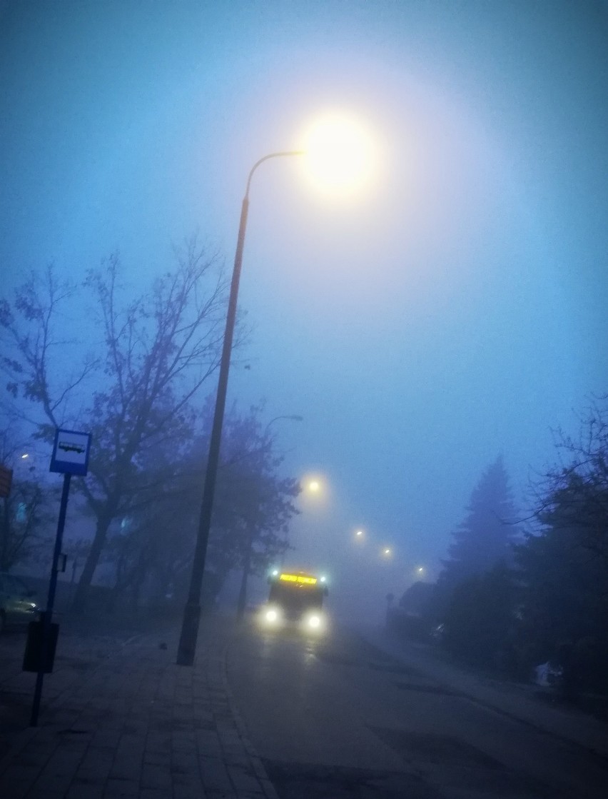 Noc i poranek z mgłą. Jaka pogoda w piątek w Bydgoszczy? [zdjęcia]