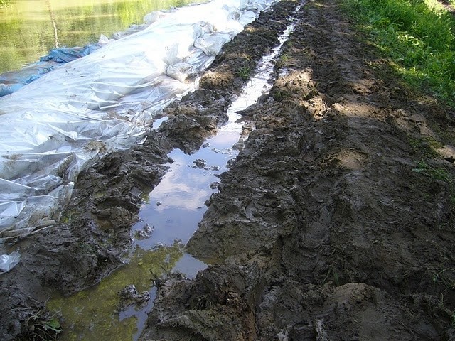 Wysokie, gmina Czerwieńsk (26-05-2010), stan na godz. 12.00