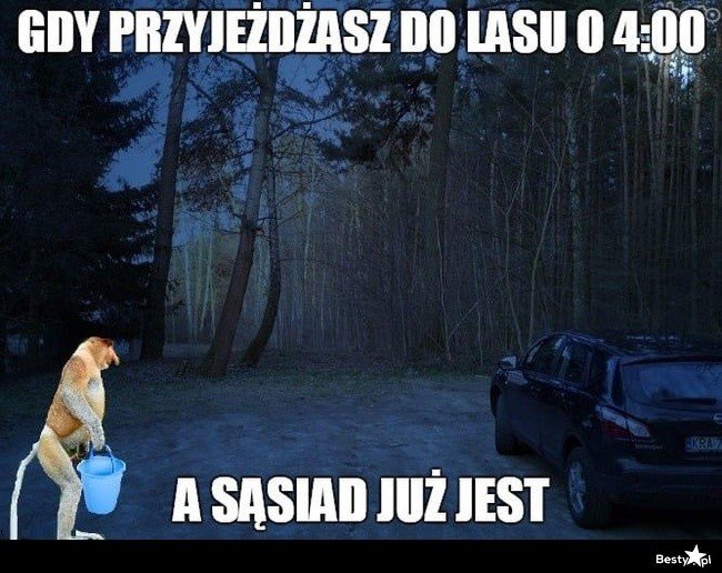 5d8b3ae21875a_o_xlarge.jpg