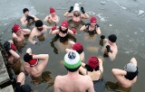 Morsy z Grudziądza zażywały kąpieli w przeręblu jeziora w Rudniku [zdjęcia]