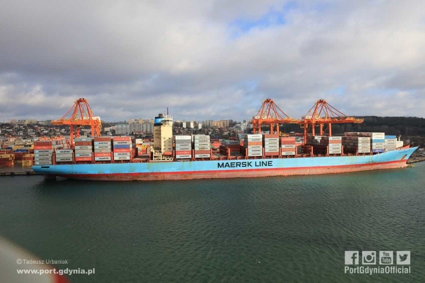 Charlotte Maersk w Porcie Gdynia, 12.02.2019