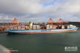 Charlotte Maersk - najdłuższy statek towarowy w historii portu w Gdyni. Oblrzymi kontenerowiec w Porcie Gdynia 12.02.2019 [ZDJĘCIA] 