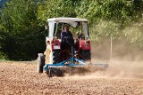 Najtaniej na Lubelszczyźnie. Ciągniki rolnicze do 15 tys. zł. Najnowsze ogłoszenia sprzedaży używanych traktorów na OLX. Zobacz!