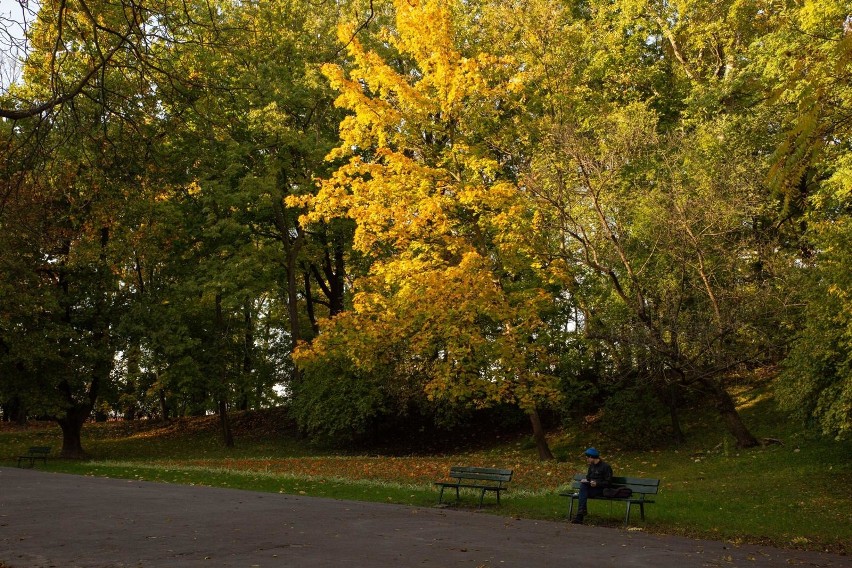 Park Bednarskiego ma być remontowany ponad rok, a w tym...