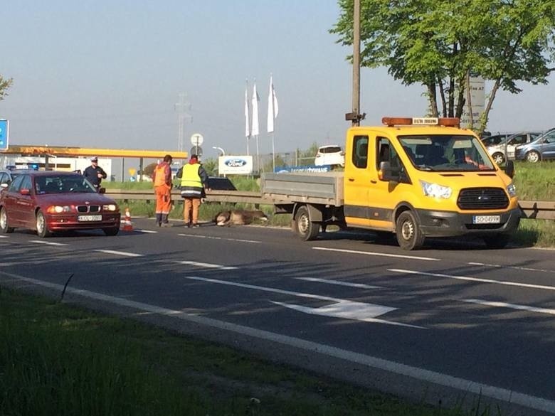 Na miejscu pojawili się pracownicy Służby Drogowej, którzy...