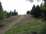 Na Stożku w Brennej zniknęło 1,5 hektara lasu pod wyciąg narciarski?