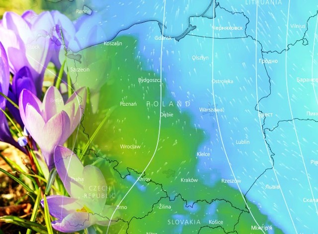 Prognoza pogody na marzec. Niebawem mróz odpuści i pojawią się dodatnie temperatury. Czy mamy na horyzoncie wiosnę? [pogoda na marze, kiedy nadejdzie wiosna?]