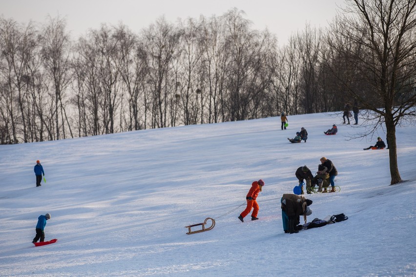 W parku Wieniawskiego zostanie wysypane aż 30 ton śniegu....