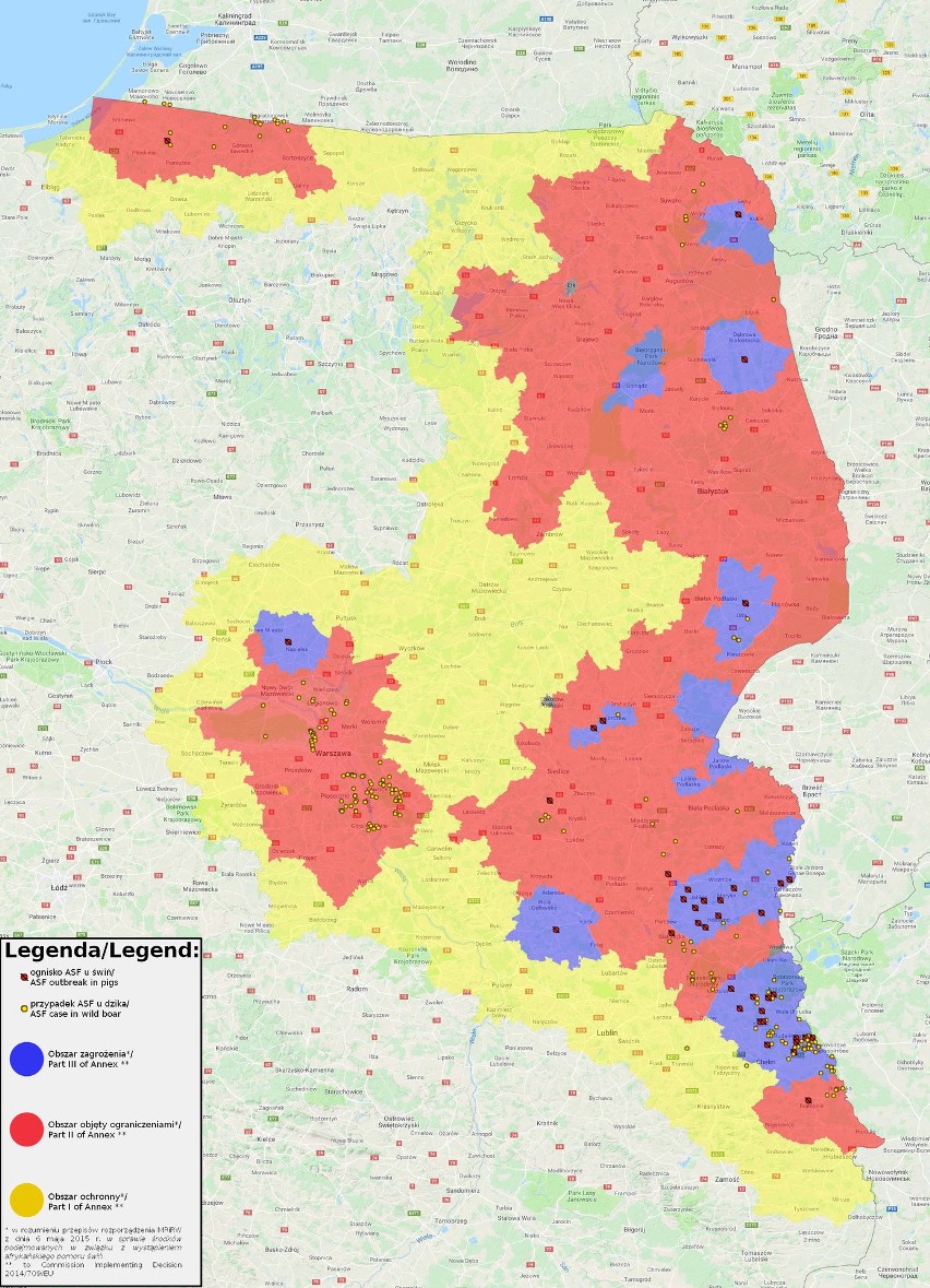 ASF rujnuje rolników. 7 kolejnych przypadków wirusa w chlewniach